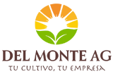 monte